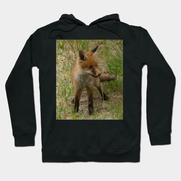 Fox Cub - Magpie Springs - Adelaide Hills Wine Region - Fleurieu Peninsula - South Australia Hoodie by MagpieSprings